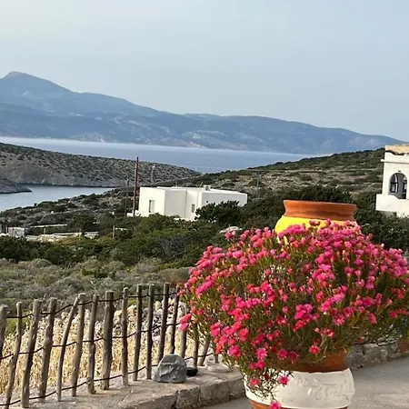 Alexandra Guest house